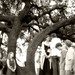 Sandra Kimbrough Photo 19