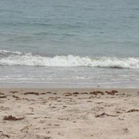 Beth Lang Photo 24