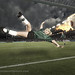 Alison Donaldson Photo 2