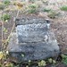 Dorothy Hoffman Photo 28
