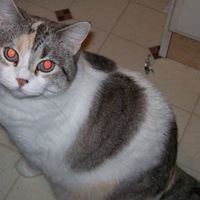 Judy Coffman Photo 7