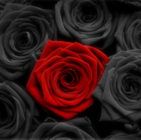 Rose Garcia Photo 8