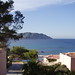 Joan Nieves Photo 18