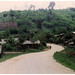 Sai Wang Photo 11