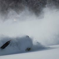 Darryl Robbins Photo 19