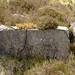 Heather Stone Photo 20