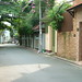 Nha Nguyen Photo 16