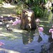 Orlando Rosado Photo 31