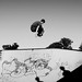 Tom Wiley Photo 9