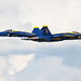 Greg Collins Photo 31