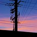 Eugene Power Photo 10
