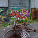Rusty Vaughan Photo 11