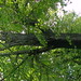 Paula Harmon Photo 13
