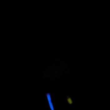 Scott Ritchie Photo 8