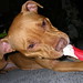 Bonnie Bone Photo 9