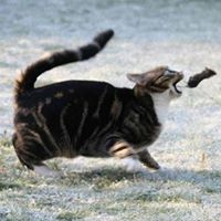 Michelle Hartwell Photo 21