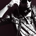 Martin Farber Photo 11