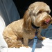 Frank Sharp Photo 42