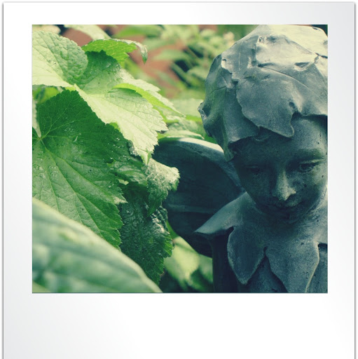 Colleen Lane Photo 24