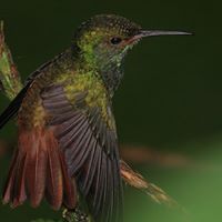 Edgar Olivera Photo 21