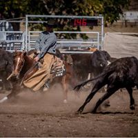 David Flack Photo 25