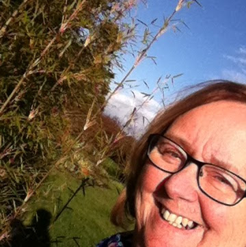 Heather Fleming Photo 41