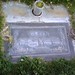 Mary Stoltz Photo 12
