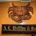 Phillip Packer Photo 14
