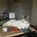 Kathy Hey Photo 12