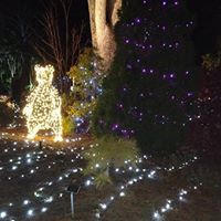 Debbie Agee Photo 26
