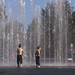 Douglas Bauman Photo 13