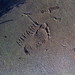 Russell Stamps Photo 10