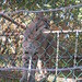 Colleen Fischer Photo 19