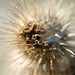 April Burr Photo 6