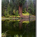 Michael Hedrick Photo 35