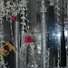 Zaynab Major Photo 2