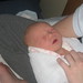 Frances Carroll Photo 19