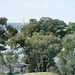 Victoria Hills Photo 21
