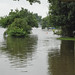 Carol Flood Photo 28