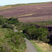 Heather Way Photo 18