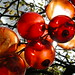 Maria Berry Photo 24