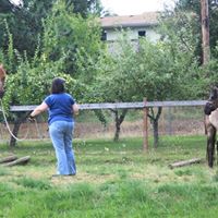 Holly Porter Photo 41