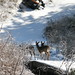 Teresa Hinds Photo 9