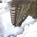 Lloyd Rogers Photo 14