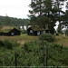 Fred Backer Photo 14