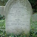Richard Conrad Photo 22