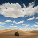 David Esser Photo 40