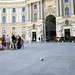 Karl Becker Photo 35