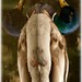 Donald Dick Photo 11