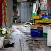 Anne Lam Photo 21